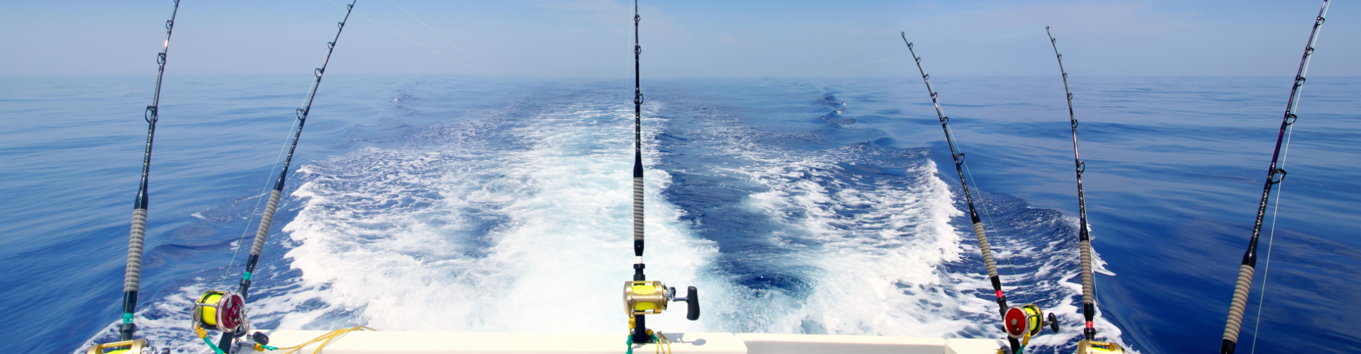 Explore the variety of fishing charters and sea life tours offered by AMI Saltwater Adventures